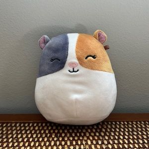 Squishmallow- Pax is a Hamster!!